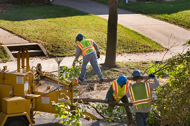 Best Firewood Processing and Delivery  in Sheldon, TX